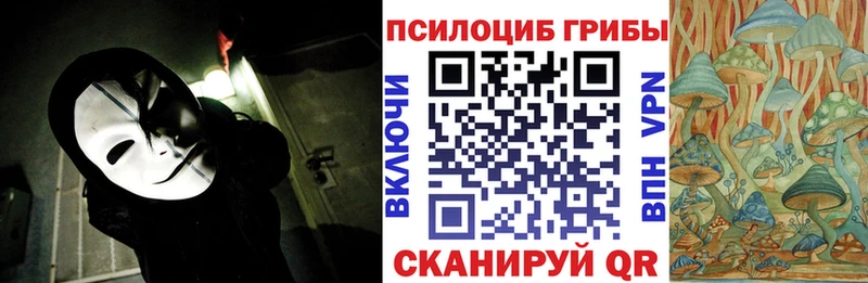 MEGA сайт  Ленинск  Галлюциногенные грибы Psilocybine cubensis 