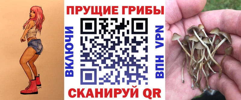 Псилоцибиновые грибы мицелий Ленинск